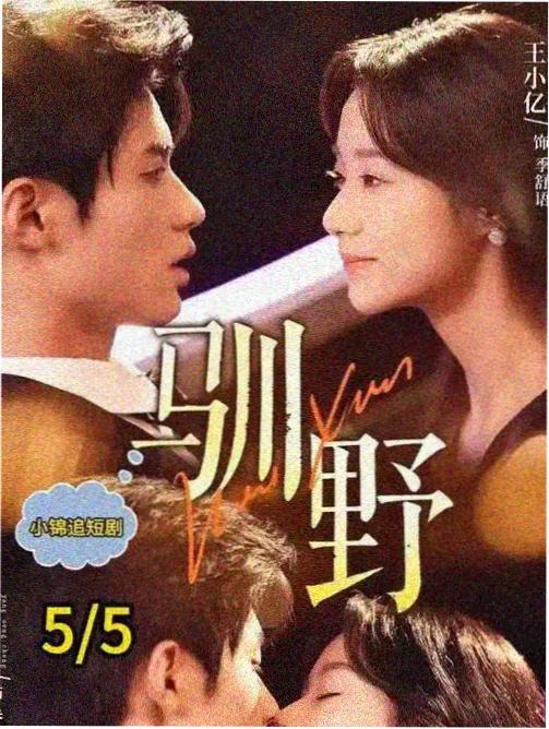 神奇宝贝剧场版20国语配音完整版封面